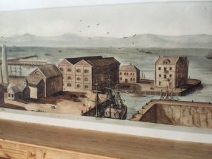 Murals V&A Waterfront(32)